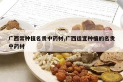 <b>��������ֲ������ҩ��,����������ֲ��������ҩ��</b>