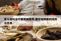 <b>��ʯ��Ҷ�������򲡰���,��ʯ���ǵĹ�Ч������</b>