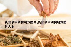 <b>�˸ʲ���ҩ�Ĺ�ЧͼƬ,�˸ʲ���ҩ�Ĺ�ЧͼƬ��ȫ</b>