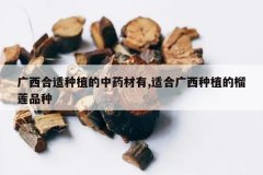 <b>����������ֲ����ҩ����,�ʺϹ�����ֲ������Ʒ��</b>