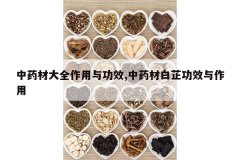 <b>��ҩ�Ĵ�ȫ�����빦Ч,��ҩ�İ��ƹ�Ч������</b>