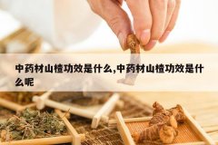 <b>��ҩ��ɽ髹�Ч��ʲô,��ҩ��ɽ髹�Ч��ʲô��</b>