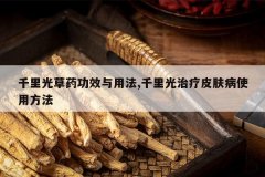 <b>ǧ����ҩ��Ч���÷�,ǧ�������Ƥ����ʹ�÷���</b>