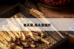 <b>��ͷ��,��ͷ��ͼƬ</b>