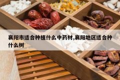 <b>�������ʺ���ֲʲô��ҩ��,���������ʺ���ʲô��</b>