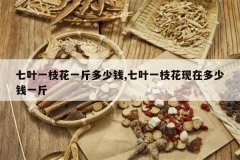 <b>��Ҷһ֦��һ�����Ǯ,��Ҷһ֦�����ڶ���Ǯһ��</b>