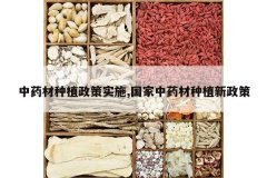 <b>��ҩ����ֲ����ʵʩ,������ҩ����ֲ������</b>