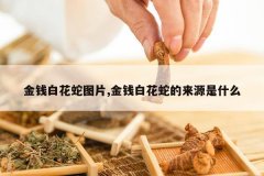 <b>��Ǯ�׻���ͼƬ,��Ǯ�׻��ߵ���Դ��ʲô</b>