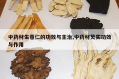 <b>��ҩ����޲�ʵĹ�Ч������,��ҩ����ʵ��Ч������</b>