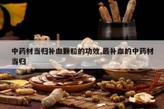 <b>��ҩ�ĵ��鲹Ѫ�����Ĺ�Ч,�Ѫ����ҩ�ĵ���</b>