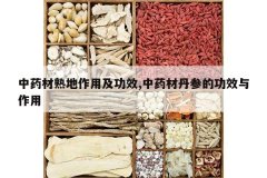 <b>��ҩ��������ü���Ч,��ҩ�ĵ��εĹ�Ч������</b>