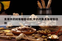 <b>ʳ����ҩ������Щ��Ч,��ҩ�Ļ�������Щ��Ч</b>