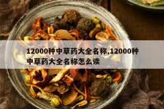 <b>12000���в�ҩ��ȫ����,12000���в�ҩ��ȫ������ô��</b>