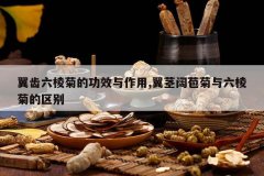 <b>��������յĹ�Ч������,����������������յ�����</b>