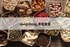 <b>dongchong,�����Ĳ�</b>