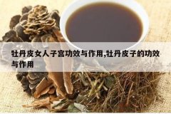 <b>ĵ��ƤŮ���ӹ���Ч������,ĵ��Ƥ�ӵĹ�Ч������</b>