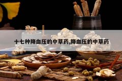 <b>ʮ���ֽ�Ѫѹ���в�ҩ,��Ѫѹ���в�ҩ</b>