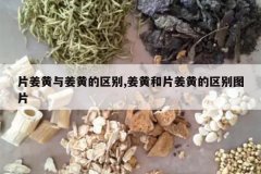 <b>Ƭ�����뽪�Ƶ�����,���ƺ�Ƭ���Ƶ�����ͼƬ</b>