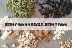 <b>����Ҷ�Ĺ�Ч�����ü�����,����Ҷ�ӵĹ�Ч</b>