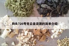 <b>��ͷ726���������Դ�ļ򵥽���</b>
