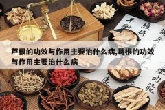 <b>«���Ĺ�Ч��������Ҫ��ʲô��,����Ĺ�Ч��������Ҫ��ʲô��</b>