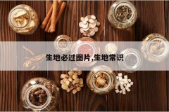 <b>���رع�ͼƬ,���س�ʶ</b>