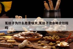 <b>��˿��ΪʲôΣ������,��˿����ˮ�Ȼ�׳����</b>