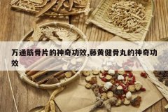 <b>��ͨ���Ƭ�����湦Ч,�ٻƽ���������湦Ч</b>