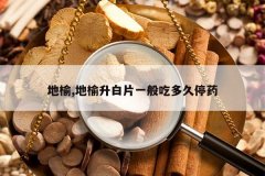 <b>����,��������Ƭһ��Զ��ͣҩ</b>