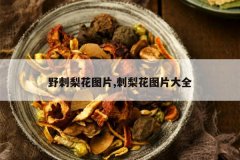 <b>Ұ���滨ͼƬ,���滨ͼƬ��ȫ</b>