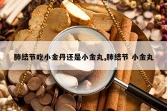 <b>�ν�ڳ�С�𵤻���С����,�ν�� С����</b>