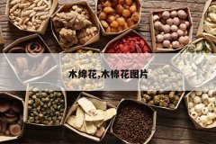 <b>ľ�໨,ľ�޻�ͼƬ</b>