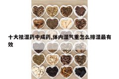 <b>ʮ����ʪҩ�г�ҩ,����ʪ������ô��ʪ����Ч</b>