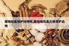 <b>ʺ�����Ǳ���������,ʺ�������Ǽ�����������</b>