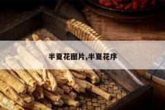 <b>���Ļ�ͼƬ,���Ļ���</b>