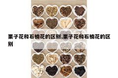 <b>���ӻ���ʯ骻�������,���ӻ���ʯ骻�������</b>