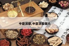 <b>���Ǳ�޼,���Ǳ�޼ͼƬ</b>