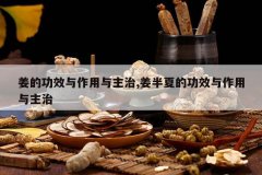 <b>���Ĺ�Ч������������,�����ĵĹ�Ч������������</b>