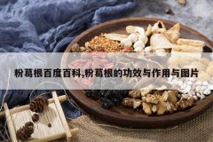 <b>�۸���ٶȰٿ�,�۸���Ĺ�Ч��������ͼƬ</b>