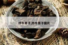 <b>��ţ����,��ţ����ͼƬ</b>