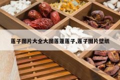 <b>����ͼƬ��ȫ��ͼ��������,����ͼƬ��ֽ</b>