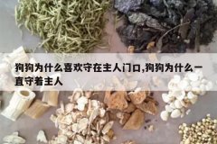 <b>����Ϊʲôϲ�����������ſ�,����Ϊʲôһֱ��������</b>