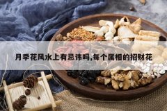 <b>�¼�����ˮ���мɻ���,ÿ��������вƻ�</b>