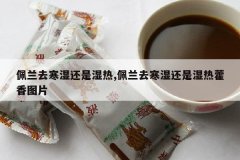 <b>����ȥ��ʪ����ʪ��,����ȥ��ʪ����ʪ��޽��ͼƬ</b>