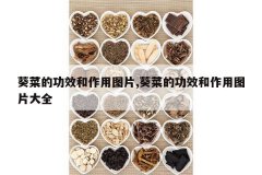 <b>���˵Ĺ�Ч������ͼƬ,���˵Ĺ�Ч������ͼƬ��ȫ</b>