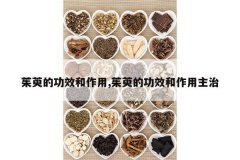 <b>���ǵĹ�Ч������,���ǵĹ�Ч����������</b>