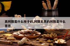 <b>�氢κ��ʲô���ӵ�,��κ����İ�κ��ʲô��˼</b>