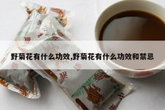 <b>Ұ�ջ���ʲô��Ч,Ұ�ջ���ʲô��Ч�ͽ���</b>