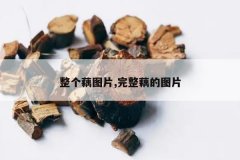 <b>����źͼƬ,����ź��ͼƬ</b>