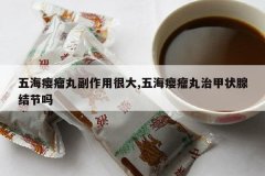 <b>�庣����踱���úܴ�,�庣������μ�״�ٽ����</b>